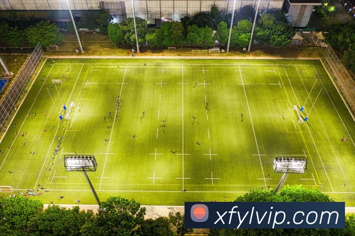 先锋娱乐官网平台生态图