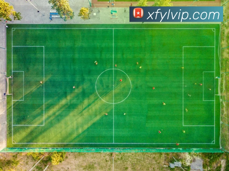 先锋娱乐官网APP 封面图